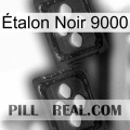 Étalon Noir 9000 03